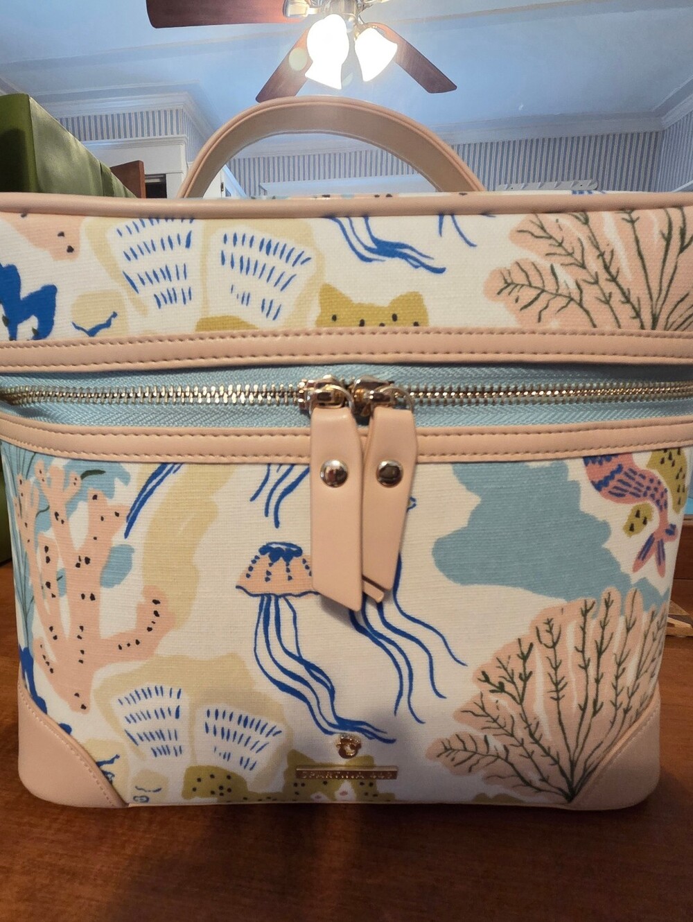SPARTINA 449 X EMILY ISABELLE Train Case/Toiletry Case